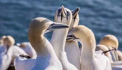 楚雄2026年最新杭州高端商务伴游招聘网渠道分享(最方便真实的楚雄茉莉伴游伴游天下全国联盟方法)