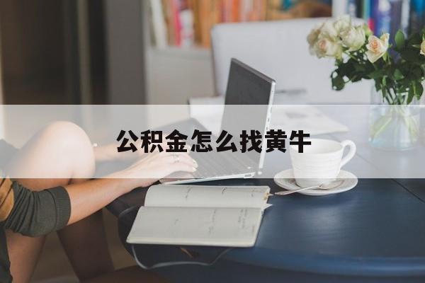 最新公积金怎么找黄牛方法分析(最方便真实的楚雄找黄牛公积金提取流程方法)